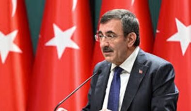 Cumhurbaşkanı Yardımcısı Yılmaz’dan, İstanbul’daki depremlere ilişkin açıklama
