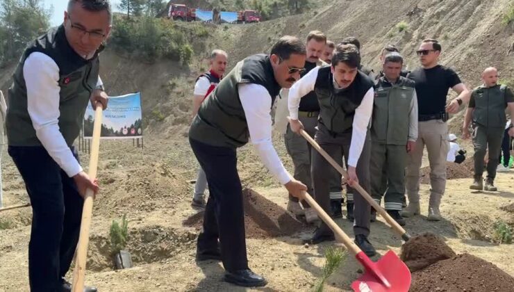 6 Şubat Deprem Şehitleri Hatıra Ormanı’na 2 bin 100 fidan