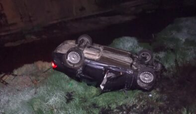 Dereye düşen otomobilin sürücüsü yaralandı