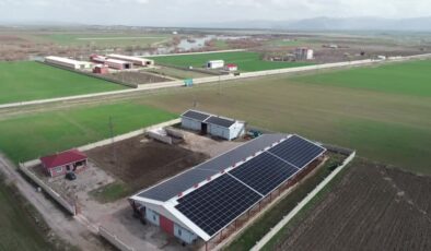 Muşlu çiftçi hem et üretiyor hem de güneşten enerji kazanıyor