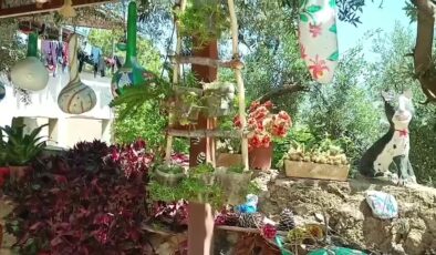 Nadire öğretmenin bahçesi masal dünyasına dönüştü