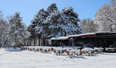 Erzincan’da gece yağan kar kentte ulaşımı ve hayatı etkiledi
