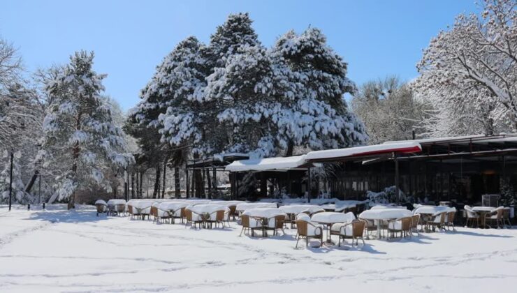 Erzincan’da gece yağan kar kentte ulaşımı ve hayatı etkiledi