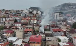 Çıkan yangında çok sayıda kuş telef oldu, ev kullanılamaz hale geldi