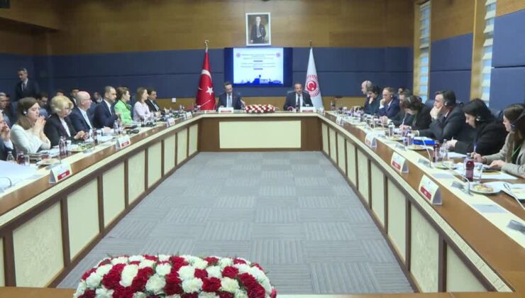TBMM’deki GDAÜPA toplantısında enerji işbirliği öne çıktı