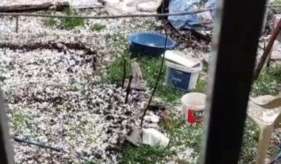Hani ilçesinde  Şiddetli Dolu tarlalar zarar gördü