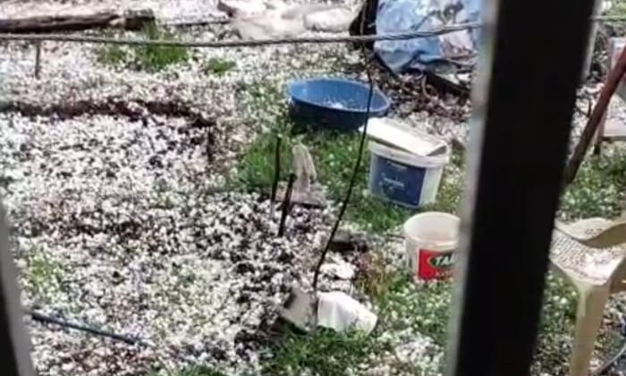 Hani ilçesinde  Şiddetli Dolu tarlalar zarar gördü