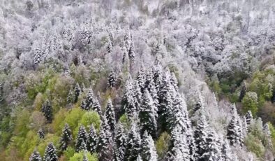 İlkbaharda karla kaplanan Çam Dağı, havadan beyazlar içinde görüntülendi
