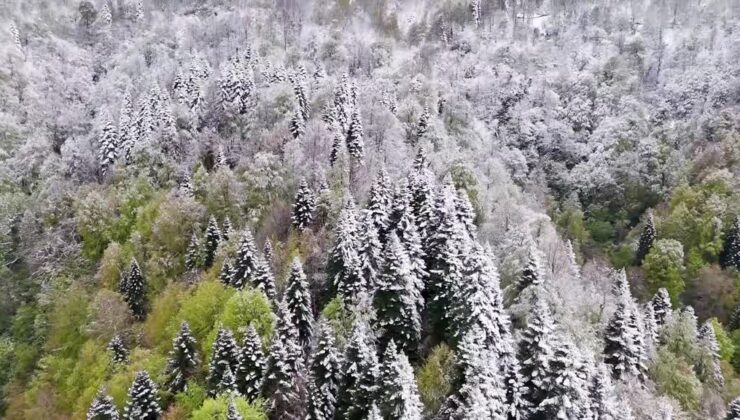 İlkbaharda karla kaplanan Çam Dağı, havadan beyazlar içinde görüntülendi