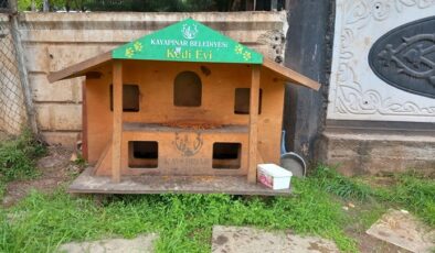 Vatandaşlardan Çağrı: Kedi Evleri Yaygınlaştırılmalı