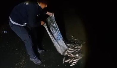 Kaçak avlanan inci kefali suya geri bırakıldı