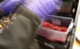 Kaçakçılık operasyonunda 2 zanlı yakalandı