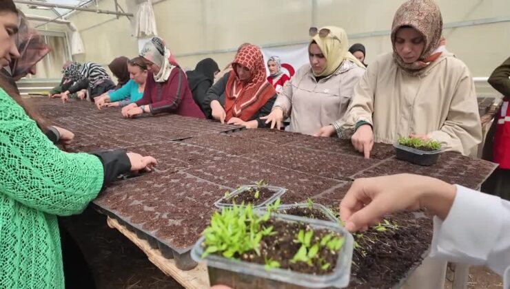 Kadınların üreteceği fideler çiftçilere de yetimlere de katkı sunacak