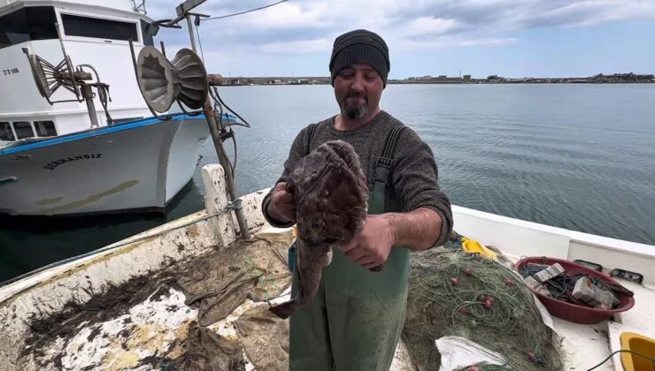 Karadeniz’de nadir balık türleri balıkçıların ağına yakalandı