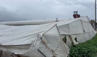 Kaş’ta fırtına seraları yerle bir etti, zeytin ağaçları devrildi