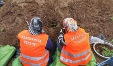 Kayapınar Belediyesi 250 bin çiçekle kenti bahara hazırlıyor