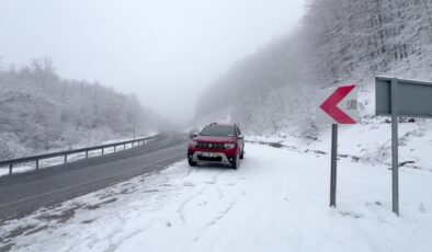 Kocayayla Geçidi’nde kar ve sis ulaşımı olumsuz etkiliyor