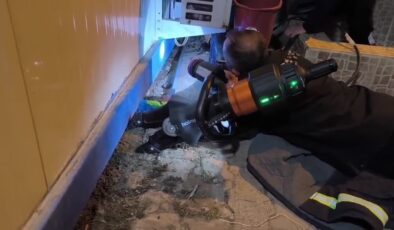 Diyarbakır’da konteynerin altına sıkışan yavru kedi kurtarıldı