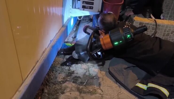 Diyarbakır’da konteynerin altına sıkışan yavru kedi kurtarıldı