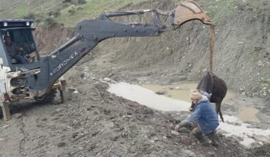 Kulp ilçesinde çamura saplanan inek kurtarıldı