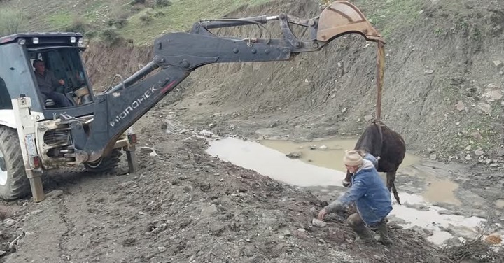 Kulp ilçesinde çamura saplanan inek kurtarıldı