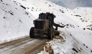 Kulp’un kırsal mahalle yollarında kar temizliği