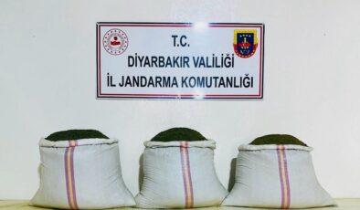 Lice’de 18 bin kök Hint keneviri ve 81 kilo esrar ele geçirildi