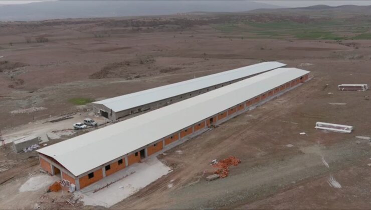 Kütahya’da ördek çiftliğiyle örnek girişimcilik