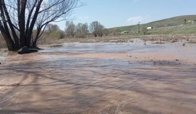Murat Nehri taştı, tarım arazileri zarar gördü