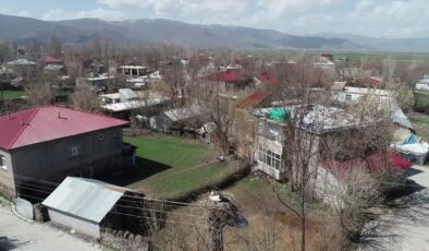 Muş Ovası’nda 250’den fazla köy, leyleklere ev sahipliği yapıyor