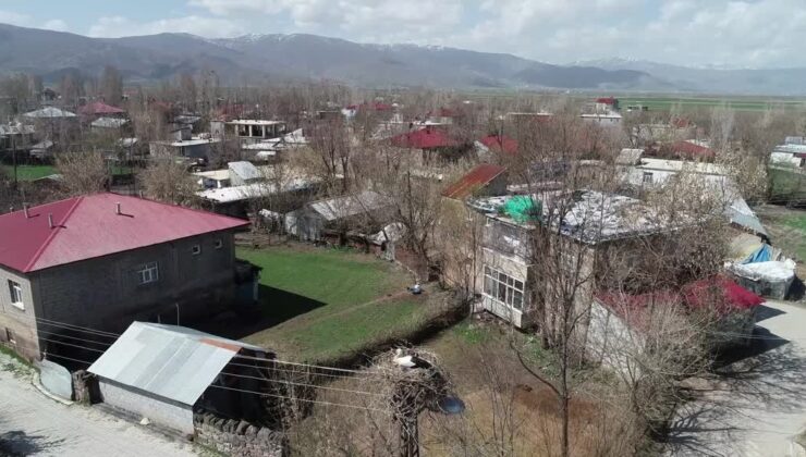 Muş Ovası’nda 250’den fazla köy, leyleklere ev sahipliği yapıyor