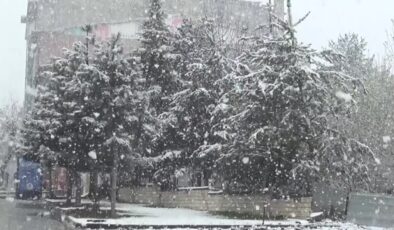 Muş ve Bitlis’te kar yağışı hayatı olumsuz etkiledi, yollar kapandı