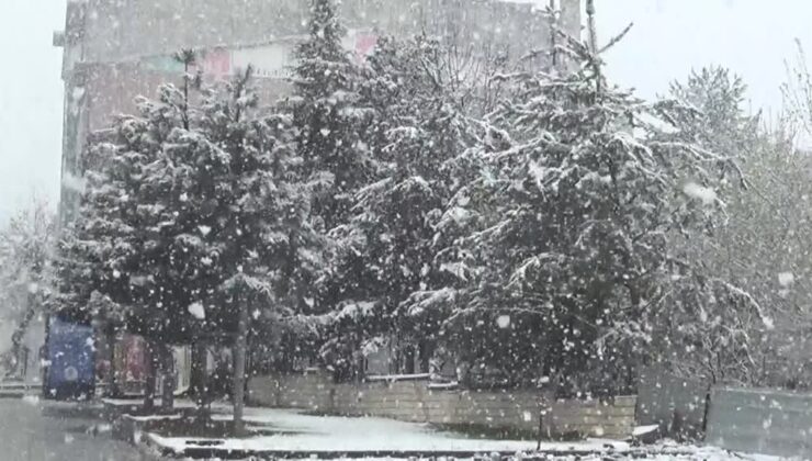 Muş ve Bitlis’te kar yağışı hayatı olumsuz etkiledi, yollar kapandı