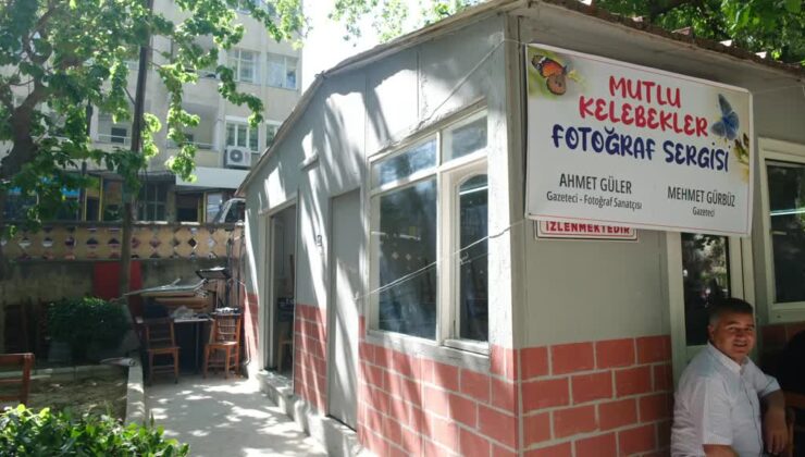 Mut’ta ilk kez düzenlenen kelebek festivali yoğun ilgi gördü