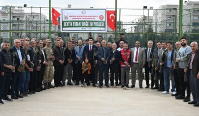 Nusaybin’de çiftçilere 8 bin zeytin fidanı dağıtıldı