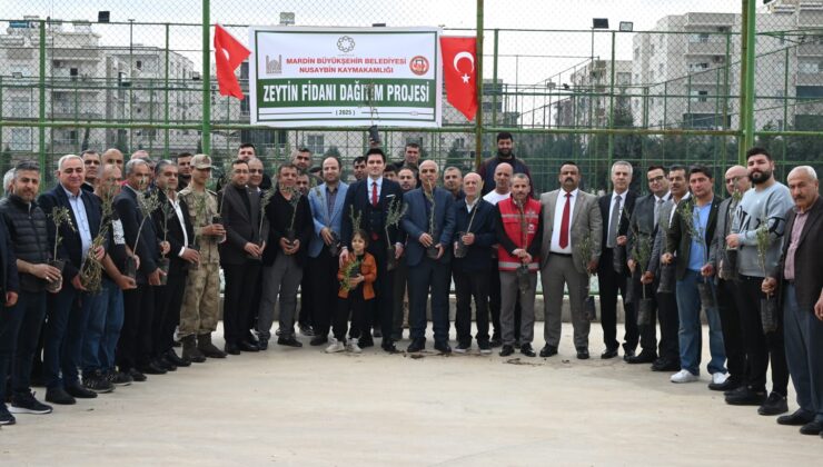 Nusaybin’de çiftçilere 8 bin zeytin fidanı dağıtıldı