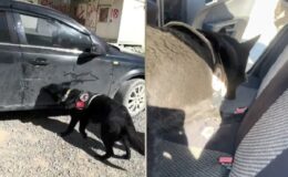 Otomobilin yakıt deposunda 21 kilo 440 gram uyuşturucu ele geçirildi