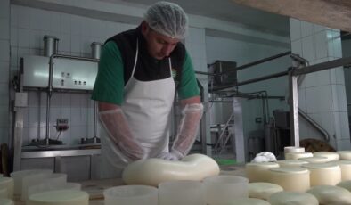 Kars’ta yılda 680 bin ton süt işleniyor, kaşar üretimi artıyor