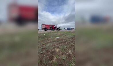 Reklam tabelasına çarpan otomobilin sürücüsü öldü