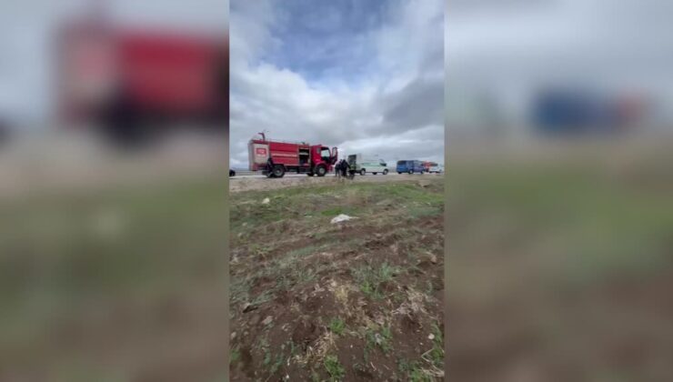 Reklam tabelasına çarpan otomobilin sürücüsü öldü