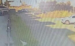 Köpek saldırısından kurtulan kadın: “Canımı zor kurtardım”