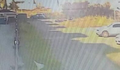 Köpek saldırısından kurtulan kadın: “Canımı zor kurtardım”