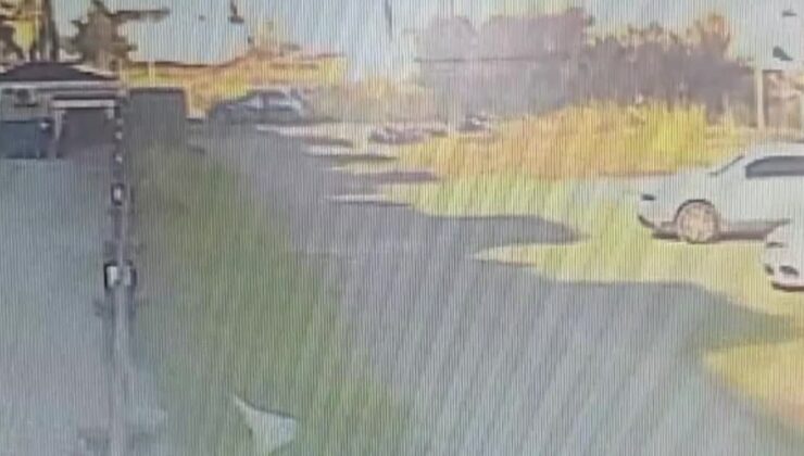 Köpek saldırısından kurtulan kadın: “Canımı zor kurtardım”