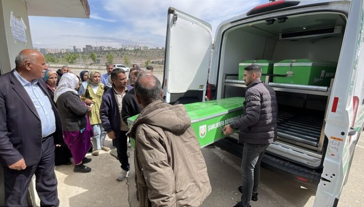 Şanlıurfa’da sahipsiz köpek dehşeti bir can daha aldı