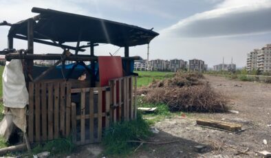 Sayıları Az Korunmaları Zor