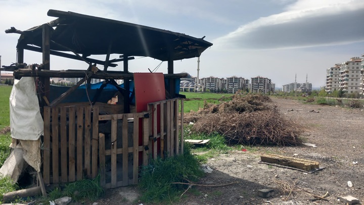 Sayıları Az Korunmaları Zor