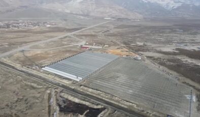 Erzincan’da seracılığa 247 milyon liralık dev hibe desteği