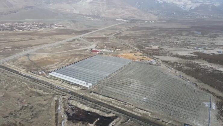 Erzincan’da seracılığa 247 milyon liralık dev hibe desteği