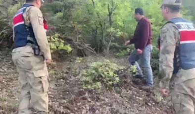 Siirt’te yavru ayı doğaya bırakıldı, kızıl şahin tedavide