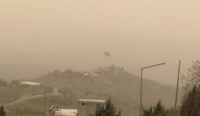 Şırnak’ta toz taşınımı etkili oldu